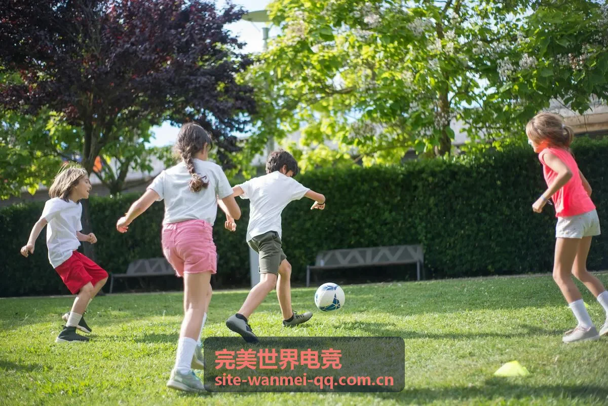完美世界电竞英雄攻略内容